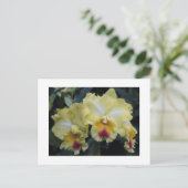 Gelbe Postkarte (Stehend Vorderseite)