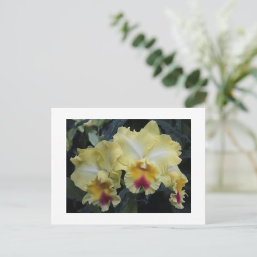 Gelbe Postkarte (Stehend Vorderseite)