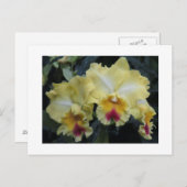 Gelbe Postkarte (Vorne/Hinten)