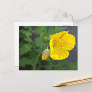Gelbe Postkarte mit Blumen