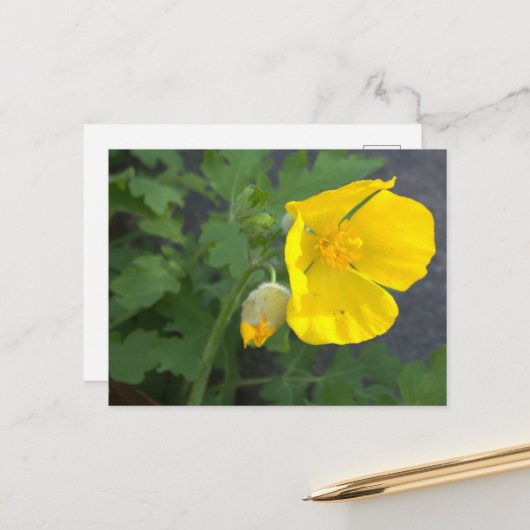Gelbe Postkarte mit Blumen (Vorderseite/Rückseite Beispiel)