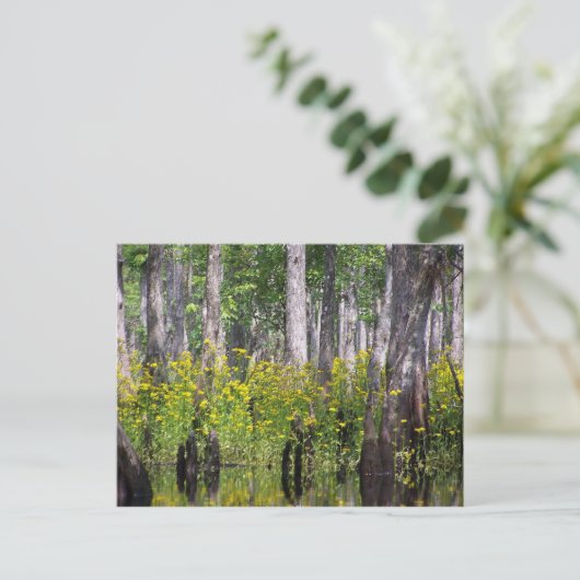 Gelbe Postkarten (Stehend Vorderseite)