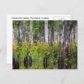 Gelbe Postkarten (Vorne/Hinten)