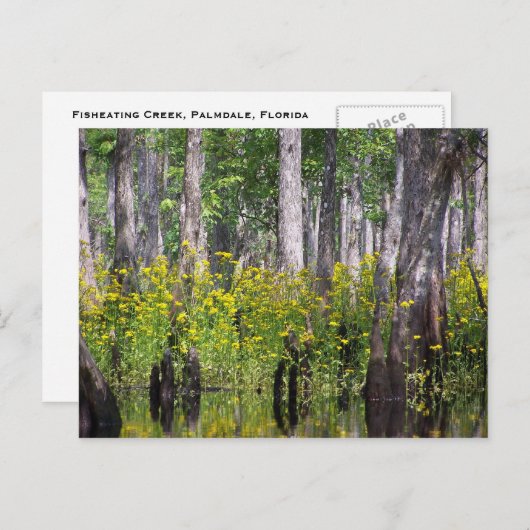 Gelbe Postkarten (Vorne/Hinten)