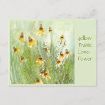 Gelbe Prärie-Kegelblume Postkarte
