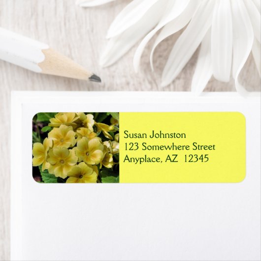 Gelbe Primrose-Blume (Insitu)