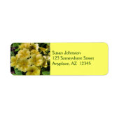 Gelbe Primrose-Blume (Vorne)