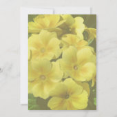 Gelbe Primrose Blume Einladung (Rückseite)