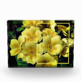 Gelbe Primrose-Blume kreieren Ihre eigene Fotoblock (Vorderseite)