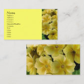 Gelbe Primrose-Blume Visitenkarte (Vorne/Hinten)