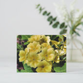 Gelbe Primrose Blumenfotografie Postkarte (Stehend Vorderseite)
