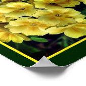 Gelbe Primrose Frühlingsblumen Abstrakt Poster (Ecke)