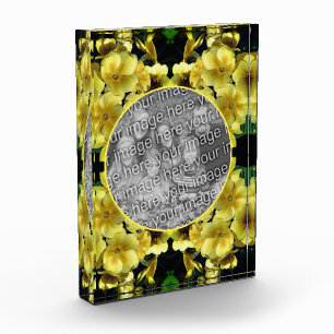 Gelbe Primrose Frühlingsblumen hinzufügen Fotoblock