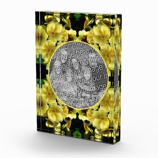 Gelbe Primrose Frühlingsblumen hinzufügen Fotoblock (Rechts)