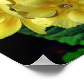 Gelbe Primrose Frühlingsblumen Spirotiert Abstrakt Poster (Ecke)