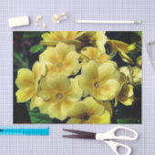 Gelbe Primrose Frühlingsblüten Nahe Up Decoupage Seidenpapier (Handwerk)