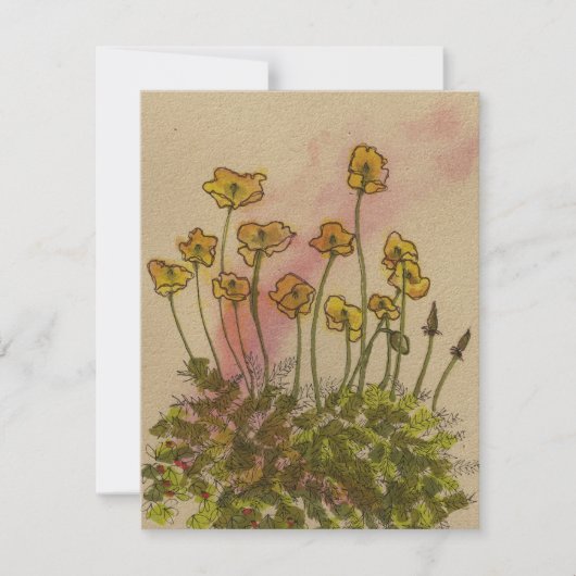 Gelbe Pupien Wildblumen Grüße Karte (Vorderseite)