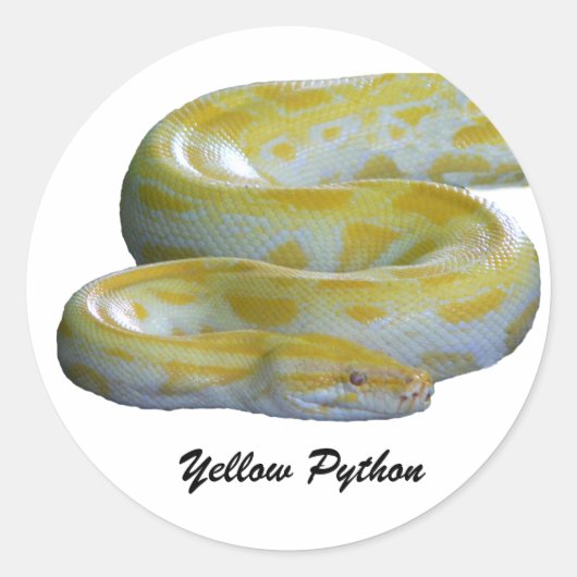 Gelbe Python-Aufkleber Runder Aufkleber (Vorderseite)