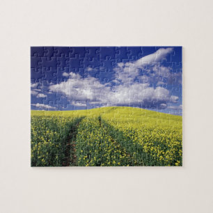 Gelbe Rapsfelder in Whitman County, Washington Puzzle
