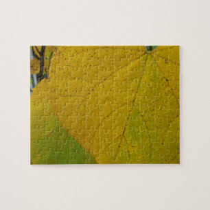 Gelbe Redbud-Blätter Herbst Naturfotografie Puzzle