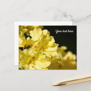 Gelbe Rhododendron Postkarte