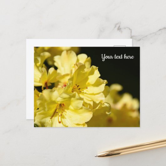 Gelbe Rhododendron Postkarte (Vorderseite/Rückseite Beispiel)