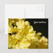 Gelbe Rhododendron Postkarte (Vorne/Hinten)
