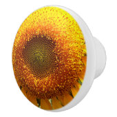 Gelbe Riesenmuschelblume Keramikknauf (Rechts)