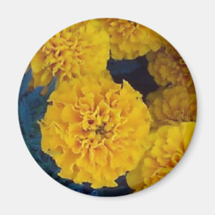 Gelbe Ringelblumen Magnet