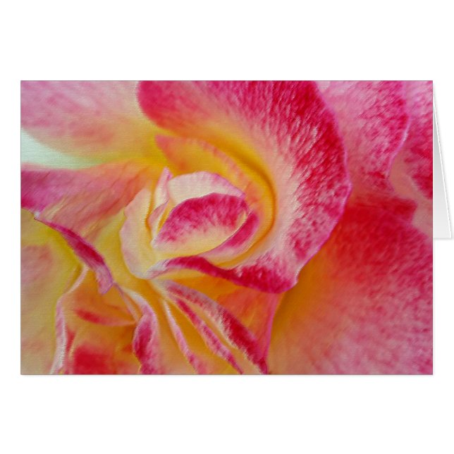 Gelbe rosa Blätter (Vorderseite (Horizontal))