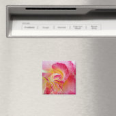 Gelbe rosa Blätter Magnet (In Situ (Geschirrspüler))