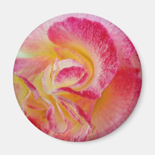 Gelbe rosa Blätter Magnet (Vorne)
