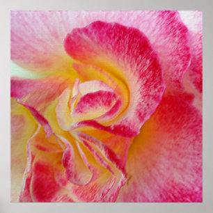 Gelbe rosa Blätter Poster