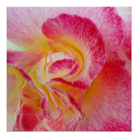 Gelbe rosa Blätter Poster (Vorderseite)