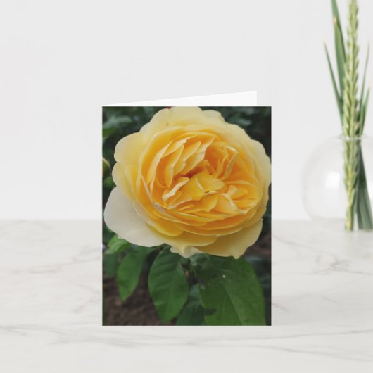 Gelbe Rosa-Blume Karte (Vorderseite)