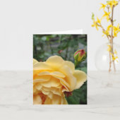 Gelbe Rosa-Blume Karte (Gelbe Blume)