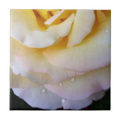 Gelbe Rosa Blütenblätter Fliese (Vorderseite)