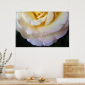 Gelbe Rosa Blütenblätter Poster (Küche)
