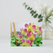 Gelbe Rosa Orchideen Postkarte (Stehend Vorderseite)