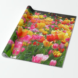 Gelbe rosa Tulpen des orange Rotes Geschenkpapier