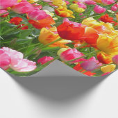 Gelbe rosa Tulpen des orange Rotes Geschenkpapier (Ecke)