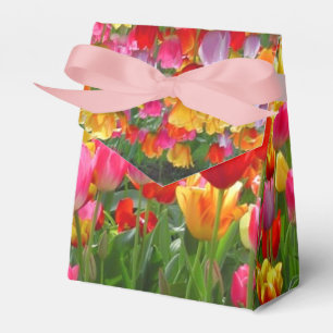 Gelbe rosa Tulpen des orange Rotes Geschenkschachtel
