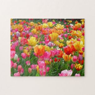 Gelbe rosa Tulpen des orange Rotes Puzzle