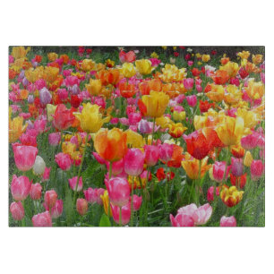 Gelbe rosa Tulpen des orange Rotes Schneidebrett