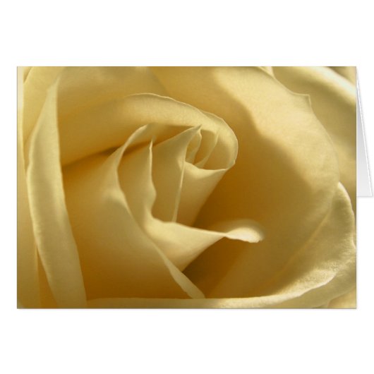 Gelbe Rose (Vorderseite (Horizontal))