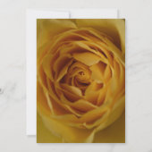 Gelbe Rose 30. Geburtstagsfeier Party Einladung (Rückseite)