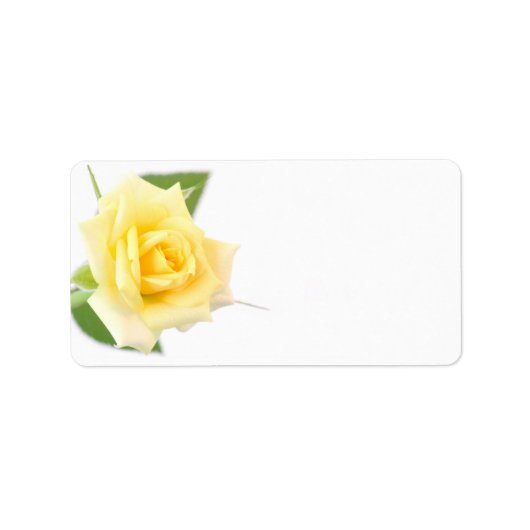 Gelbe Rose Adressaufkleber (Vorne)