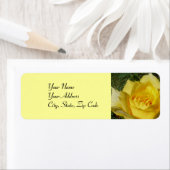 Gelbe Rose-Adressenblätter (Insitu)