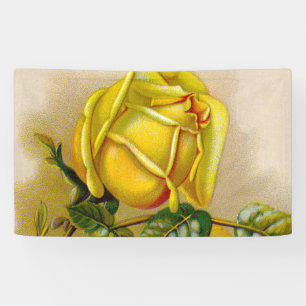 Gelbe Rose Antik Vintage-Druck Fine Art Banner