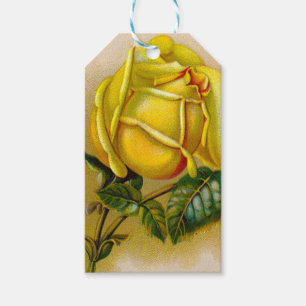 Gelbe Rose Antik Vintage-Druck Fine Art Geschenkanhänger